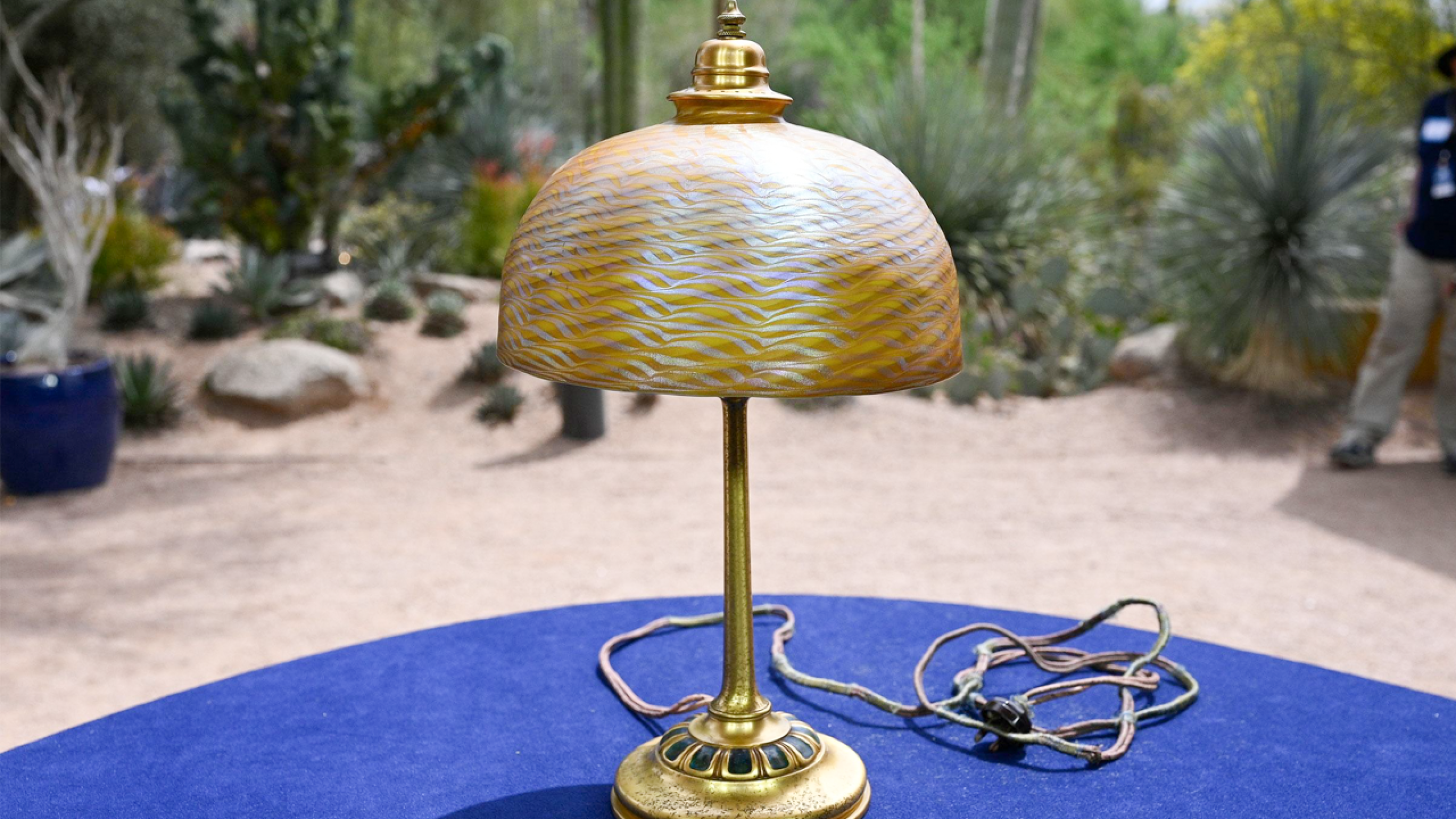 RECUT: Desert Botanical Garden, Part 2 | Ideastream Public Media