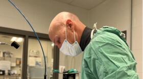 Dr. Lee Godman has been a vet for more than 30 years and is the owner of Locust Trace Veterinary Service in Lexington.
