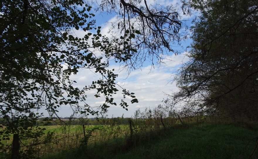 The edge of a field at Blake Hurst's farm on Oct. 17.