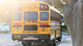 back of a school bus from the outside