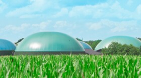 The new law makes it easier for farms to get approval for hog waste "digesters" like these, which capture methane.