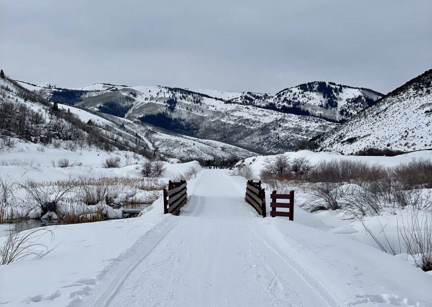 One of the Rail Trail bridges to be replaced later this year.