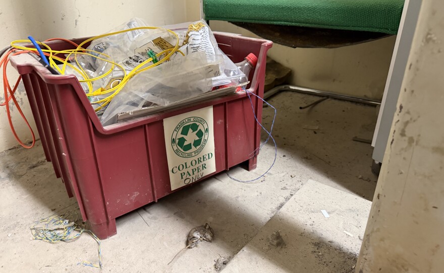 A dead mouse lays in a room of the Franklin County Municipal Court basement.