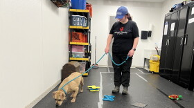 Volunteer Sam Smith brings a dog into the Animal Charity of Ohio's enrichment area. The humane organization has had to cease services, due to the rising intake and costs.