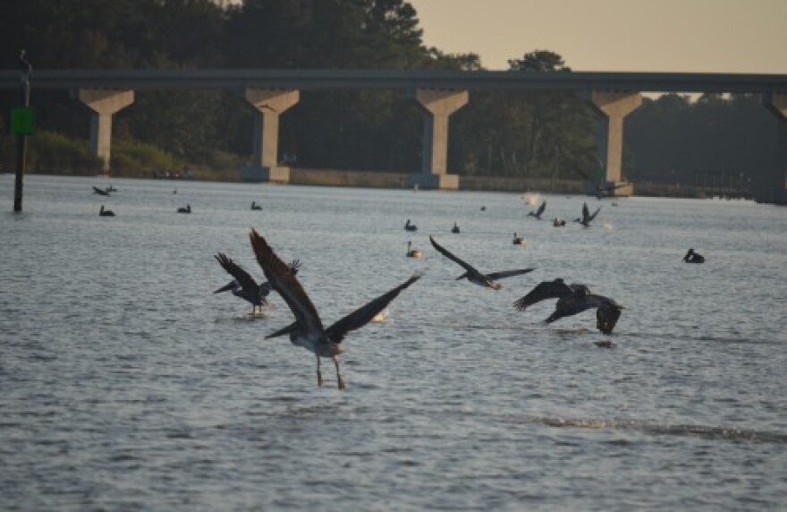 (FILE PHOTO of Fowl River: Courtesy of the Alabama Department of Conservation and Natural Resources)