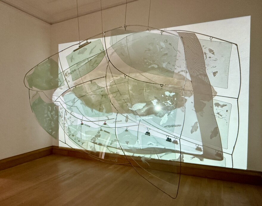 A large glass sculpture hanging from a ceiling featuring small creatures and their shadows on a white wall.