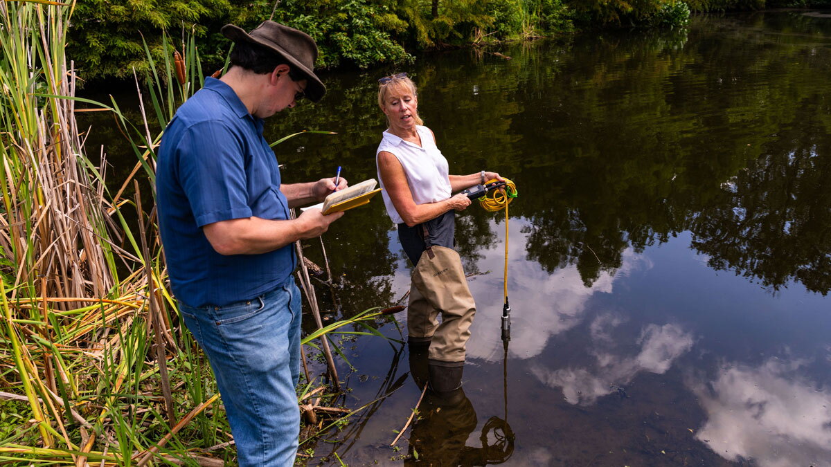 SIU researchers get $194K grant to stop algae from making toxins - Vimarsana News