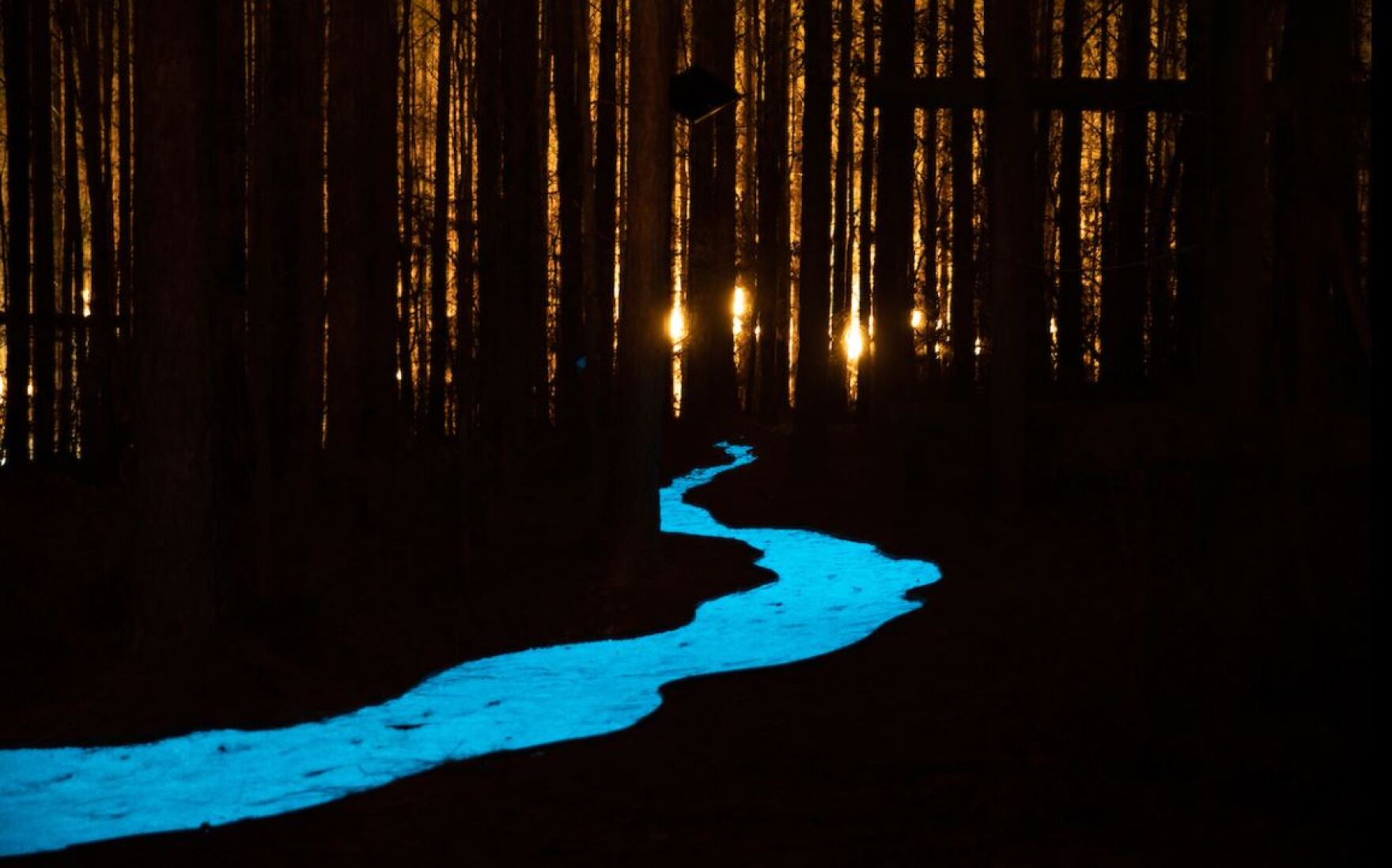 Illuminated Whitewater Center Trail Features Local Artist's Creations