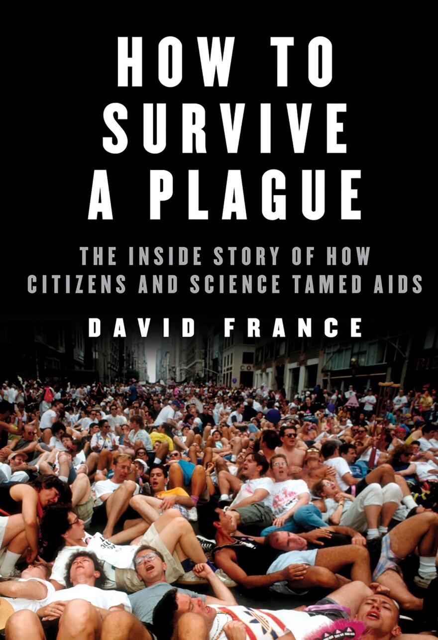 Book Cover - How to Survive a Plague