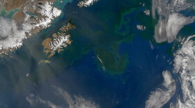 Part of the Gulf of Alaska as seen from above in 2014. Eddies carry nutrient rich water, seen in green, out into the Gulf.
