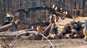 Hamilton Logging is actively harvesting timber from a tract of Yellowwood State Forest.