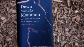 "Down from the Mountain: The Life and Death of a Grizzly Bear," by Bryce Andrews. (Robin Lubbock/WBUR)