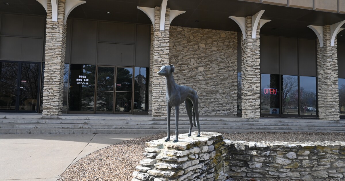 Running like the wind Greyhounds in Kansas KMUW