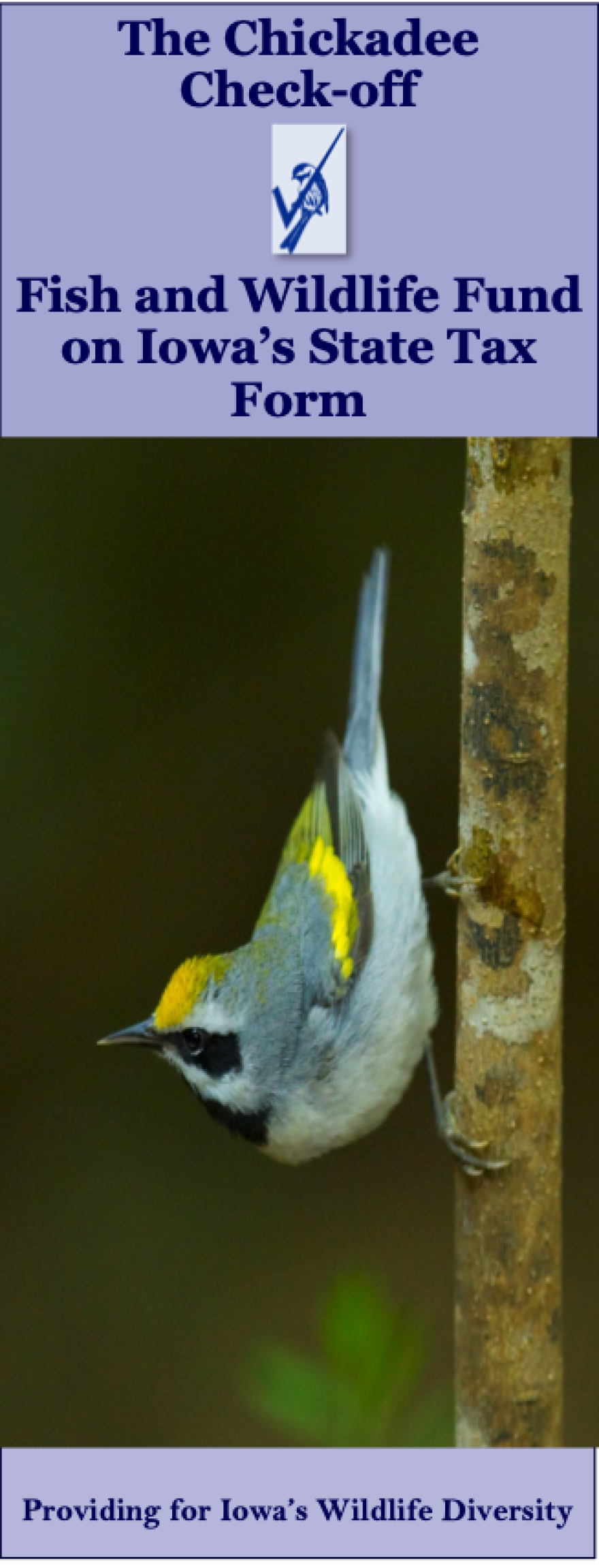 Chickadee Check-Off