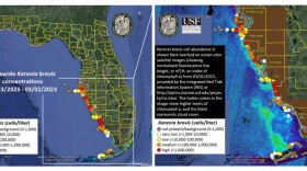  Map of red tide outbreaks