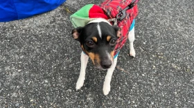 (Image: Courtesy of WTKR/Anthony Sabella/WTKR)