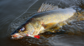 Several new regulations and season structures are in effect for the 2026 – 2027 general inland fishing season. Anglers are encouraged to review the regulations before hitting the water.