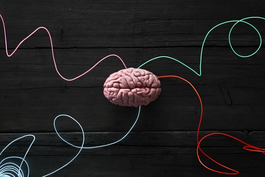 Scientists Improve Mood By Stimulating A Brain Area Above The Eyes ...