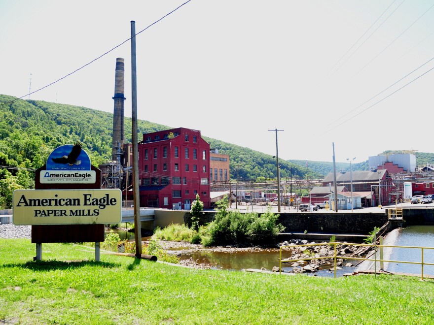 Mike Grimm, president and CEO of American Eagle Paper Mills in Tyrone, Pa., says he is supporting Trump because Trump "thinks like an executive."