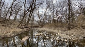 Negro Creek in Johnson County, flows for 6.5 miles before emptying into the Blue River