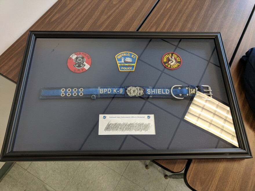 a_shadow_box_containing_the_collar_purchased_for_shield_by_his_previous_handler__the_late_lieutenant_craig_lehner__was_presented_to_lehner_s_mother.jpg