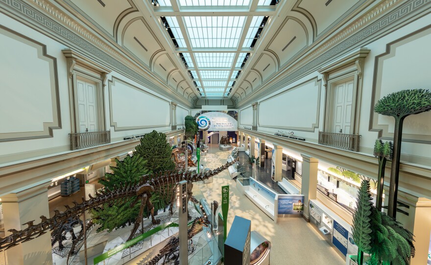 The new Deep Time exhibit in the David H. Koch Hall of Fossils at the Smithsonian National Museum of Natural History in Washington, D.C.