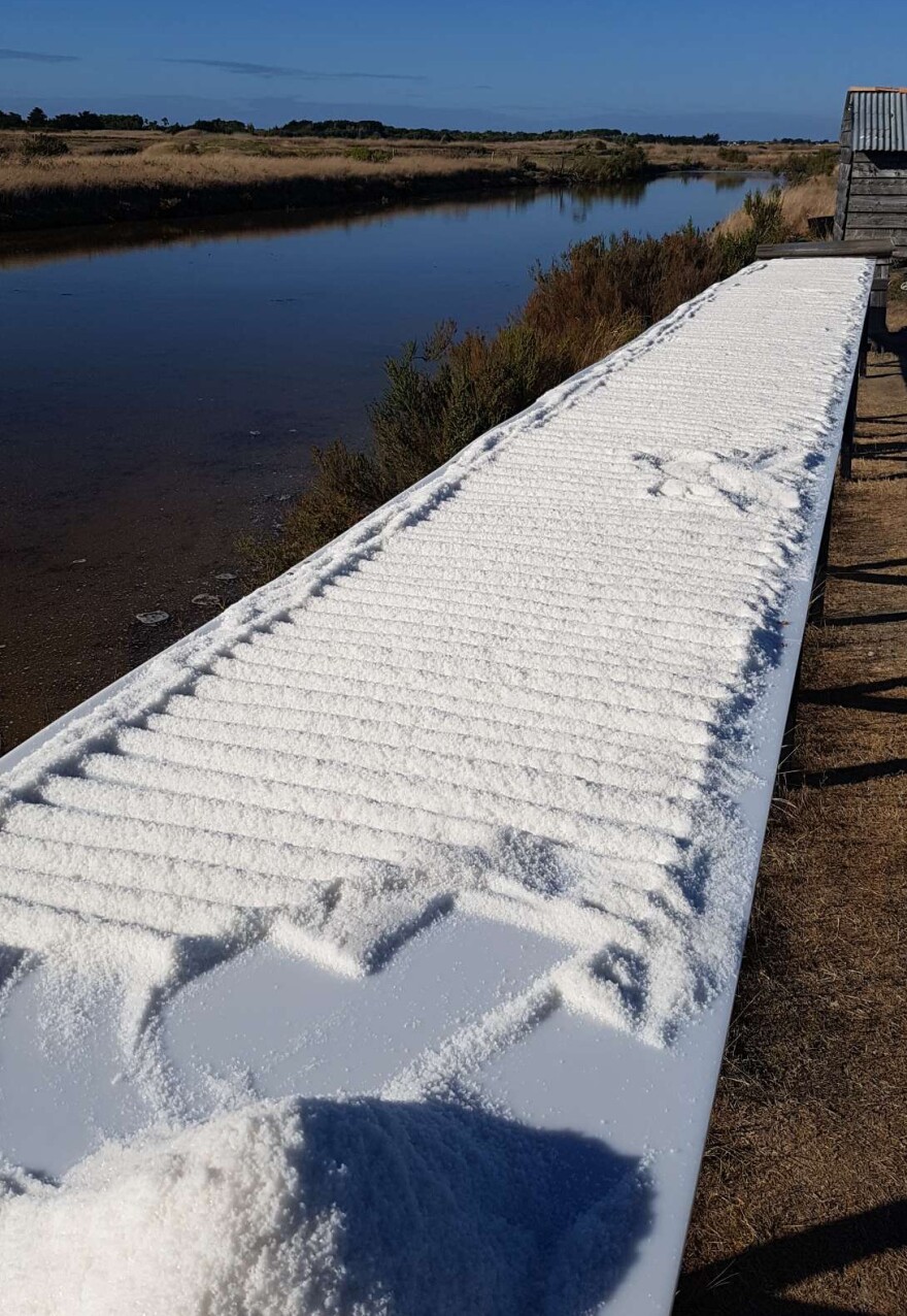 <em>Fleur de sel,</em> which translates as "salt flower," dries in the sun. <em>Fleur de sel</em> fetches 20 times the price of the coarse salt raked up from the bottom, allowing salt-makers to earn a decent living.