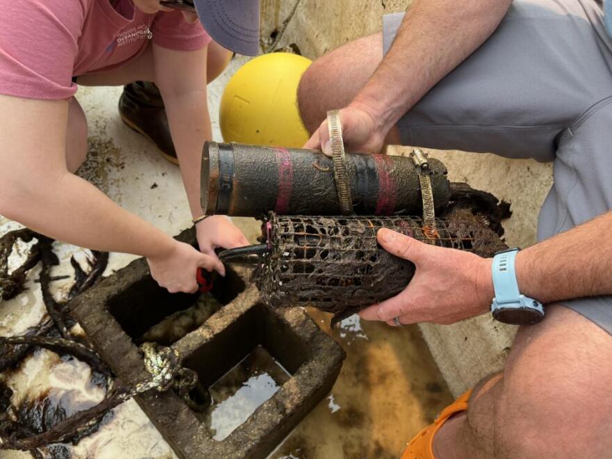 WHOI Senior Scientist Aran Mooney holds an underwater recording device immediately after retrieving it from Tisbury Great Pond on Martha’s Vineyard. July 15, 2026 (Barbara Moran/WBUR)