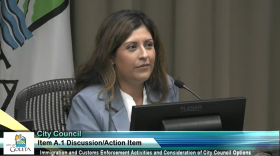 Goleta councilmember Luz Reyes-Martin speaking during a City Council meeting Monday.