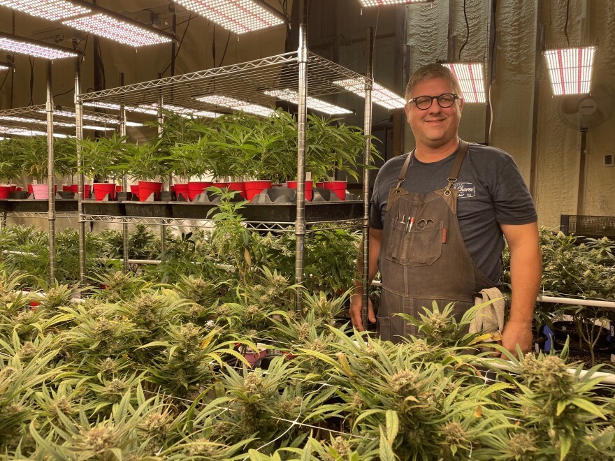 Adam Miller, the lead grower of Iris Farms outside Stillwater, Okla., stands next to cannabis plants he is in charge of growing. He has about 5,000 plants in all stages of growing.