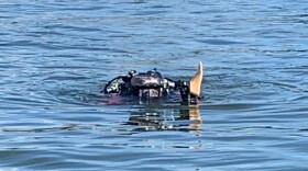 An Indianapolis Fire Department diver surfaces after retrieving a prosthetic leg that had been lost in Geist Reservoir. A woman lost the leg while spending the day on her family's anchored pontoon boat.