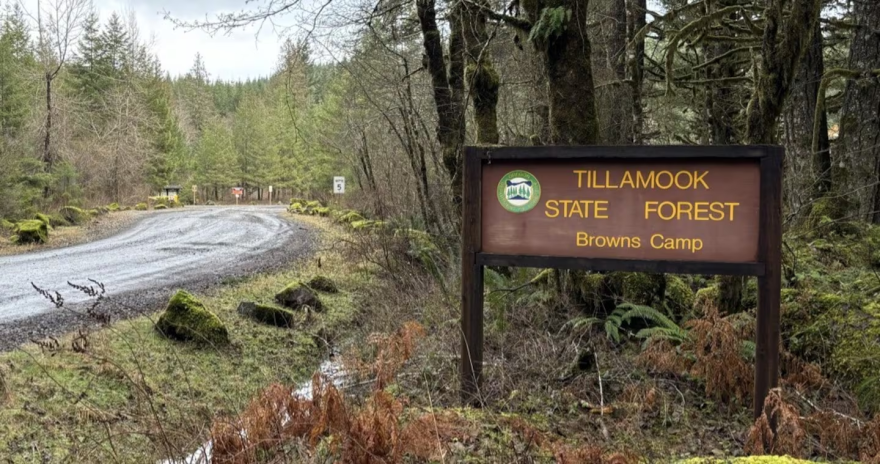A sign reading Tillamook State Forest Browns Camp sits in a forested area near a gravel road.