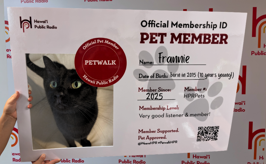 Carolyn’s sweet kitty, Frannie, previews our HPR Pet Member ID photo frame. Frannie has been an HPR member since 2025, along with her parakeet sister. She donated $100 when she heard her parents on air during a pledge drive. She is 10 years old and was adopted from the Hawaiian Humane Society