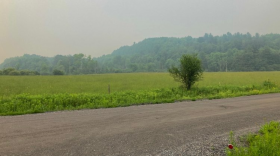  A haze from wildfire smoke settles in the sky above trees and a street in Fairfax.