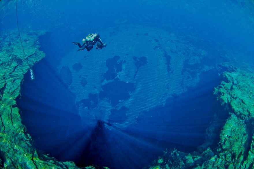 A scuba diver is seen in the Wakulla Spring basin. 