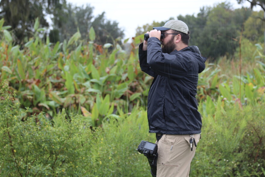 Weakley typically follows three steps when photographing birds: watch for motion, use binoculars to see a wider perspective, then take the shot. Although he doesn’t photograph every bird he notices, Weakley likes to have at least one photo of every species. (Molly Seghi/WUFT News)