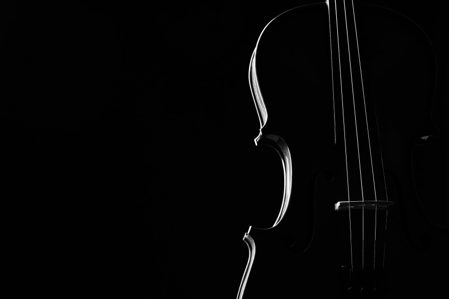 Le violon noir