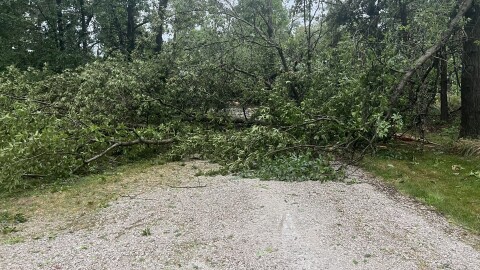 storm damage