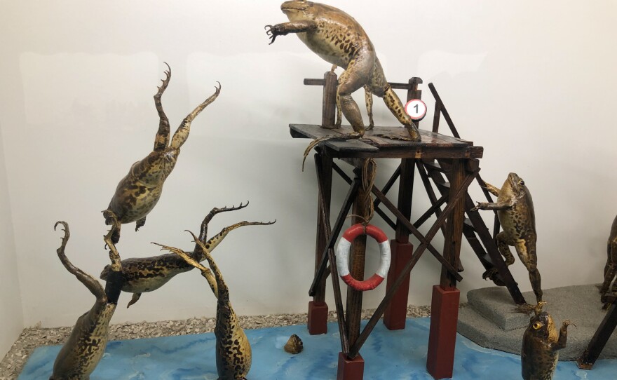 A Froggyland display shows taxidermized frogs doing what they do best: diving and swimming in a pool.