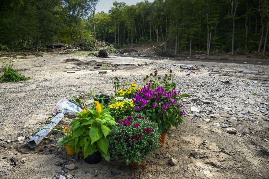 Flowers marking the site of Cathy Dibner's chicken coop where 100 of her business' birds were washed away when and earthen dam that stood upstream in the background washed away in the rain and floods of August 18, 2024.