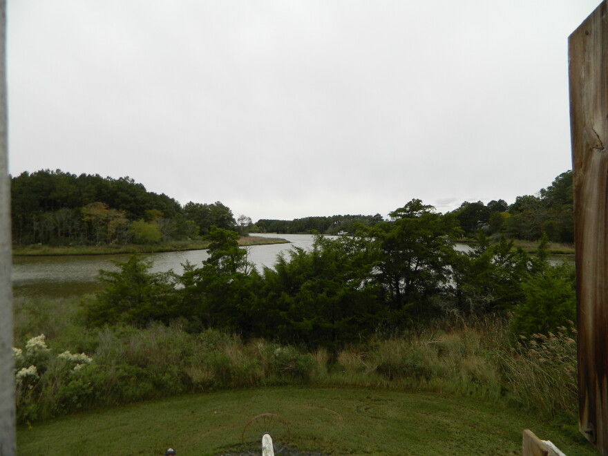 Gary Creek from inside the windmill.