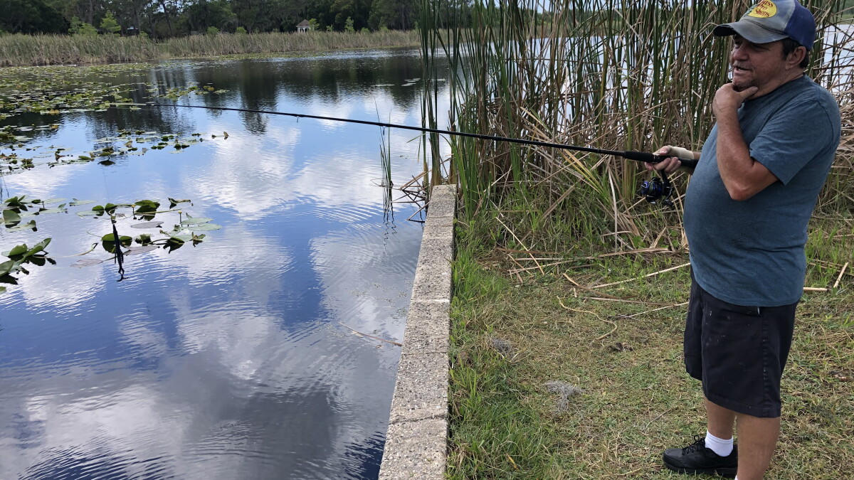 Lakes, wetlands rebounding since Tampa Bay Water formed 25 years ago - Vimarsana News