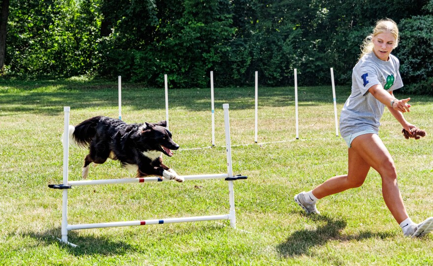 Evelyn also competes with the family dog, Daisy, in dog agility.