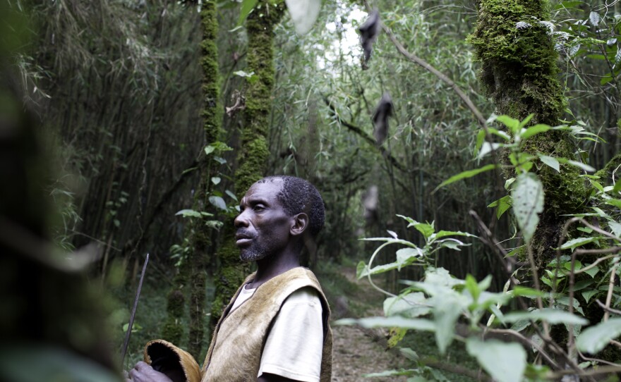 The forests in which the Batwa lived are rich with flora and fauna. After the formation of Mgahinga National Park, they were forced out and prohibited from hunting or gathering.