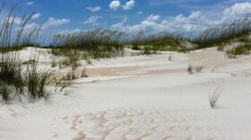 Anastasia State Park in St. Johns County is one of the state parks that could see the addition of pickleball, golf or other recreation types under a new state plan. (Courtesy of Florida State Parks)
