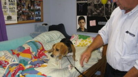 Dixie searches for bedbugs at a private school  near Baltimore  with the  help of her handler, Blaine Lessard.