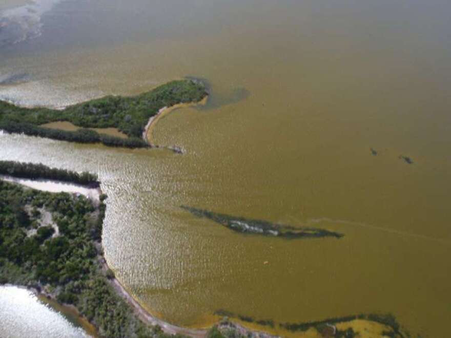 Previous tide bloom in the Indian River Lagoon region. Photo by St. Johns River Water Management staff. 