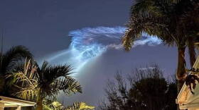 A glowing blue-white plume from a rocket launch hangs in a dark twilight sky, its wispy, swirling form resembling a jellyfish. Palm trees and the edges of rooftops frame the scene, and a few stars are visible.