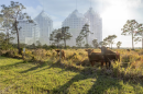 Developers and a church have sued Sarasota County over its effort to stop Live Local projects in rural areas, setting up a court fight over the reach of Florida's affordable housing law.