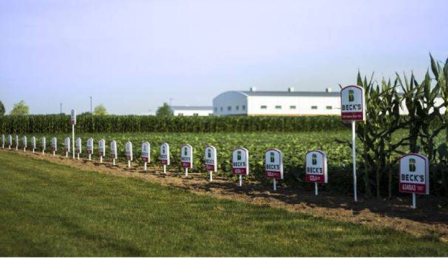 Tejas Workforce Connection of Texas, recruits temporary agricultural workers for companies including Beckâ€™s Hybrids in Hamilton County.